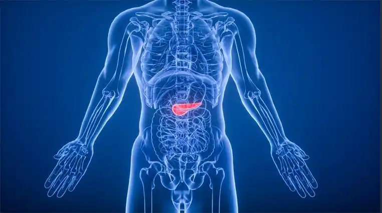 定制生物墨水3D打印出人类胰岛 ，为治疗Ⅰ型糖尿病带来新希望